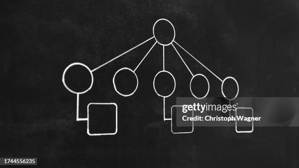 kreide tafel, organigramm - chalk strategy stock pictures, royalty-free photos & images