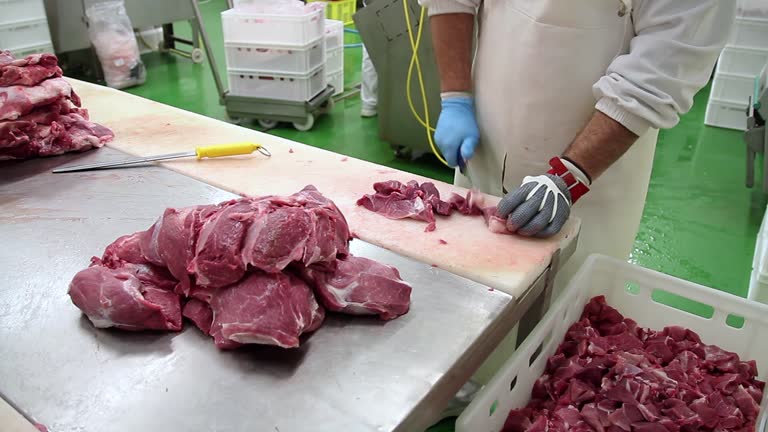 https://media.gettyimages.com/id/1744573896/video/meat-processing-plant-worker-with-chainmail-mesh-glove-cutting-raw-meat.jpg?b=1&s=640x640&k=20&c=IMBzqTQENpo6MaHDXNK87bmyd1imliVwQx09lWakH3k=