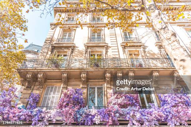 cafe in a paris corner decorated with purple flowers. - facade blinds stock pictures, royalty-free photos & images