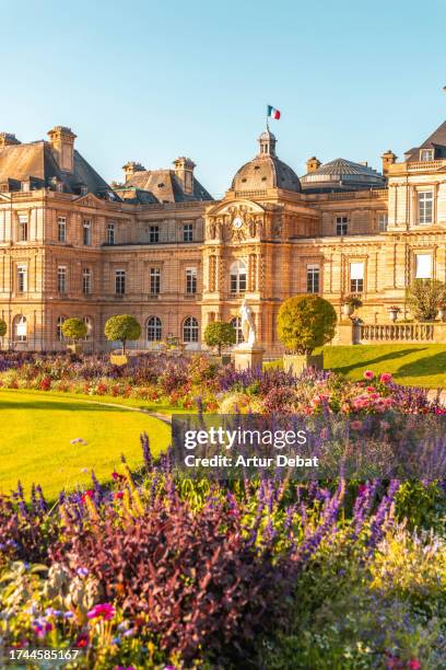 jardin du luxembourg with the senate palace in paris and flowers in bloom. - french parliament stock pictures, royalty-free photos & images