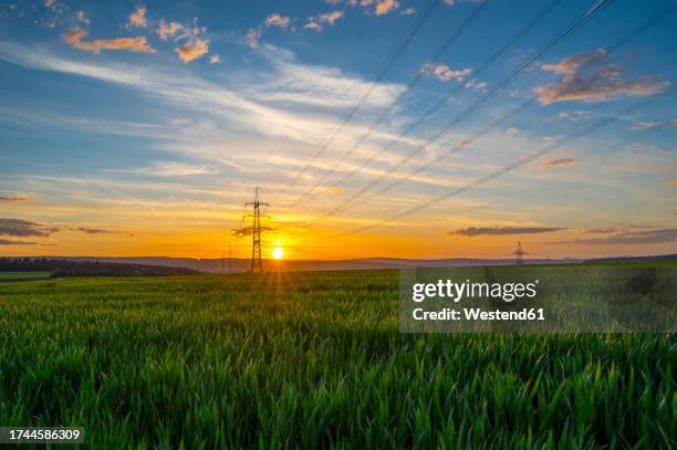 germany, hesse, hunfelden, electricity pylon in vast green field at summer sunset - electricity pylon stock-fotos und bilder