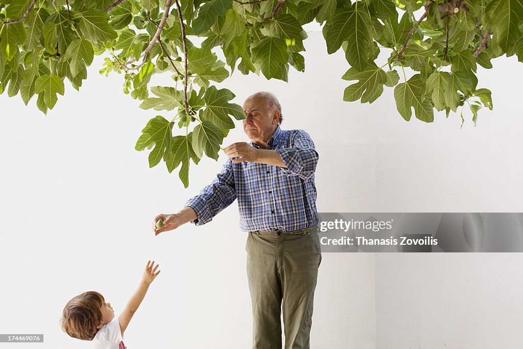Grandfather gives figs to his grandson