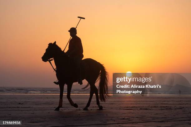 polo player - polo horse fotografías e imágenes de stock