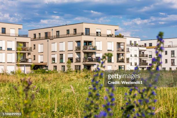germany, baden-wurttemberg, fellbach, suburban apartments with meadow in foreground - fellbach bildbanksfoton och bilder