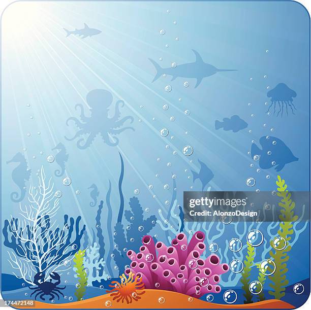 unterwasser-szene - seabed stock-grafiken, -clipart, -cartoons und -symbole