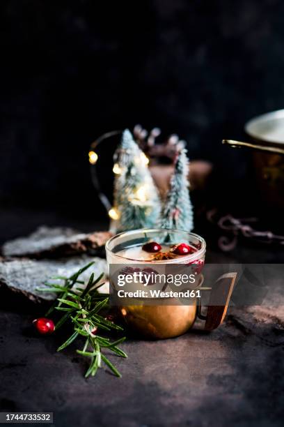 moscow mule with cranberries and spices in cup - cranberry mule stock pictures, royalty-free photos & images