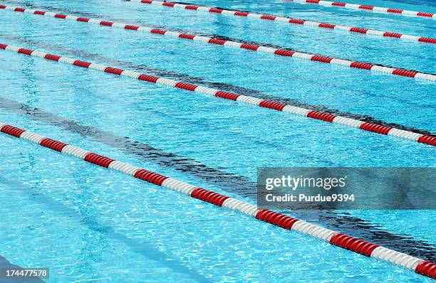 red white blue - water and swimming pool lane marker - swimming lane marker bildbanksfoton och bilder