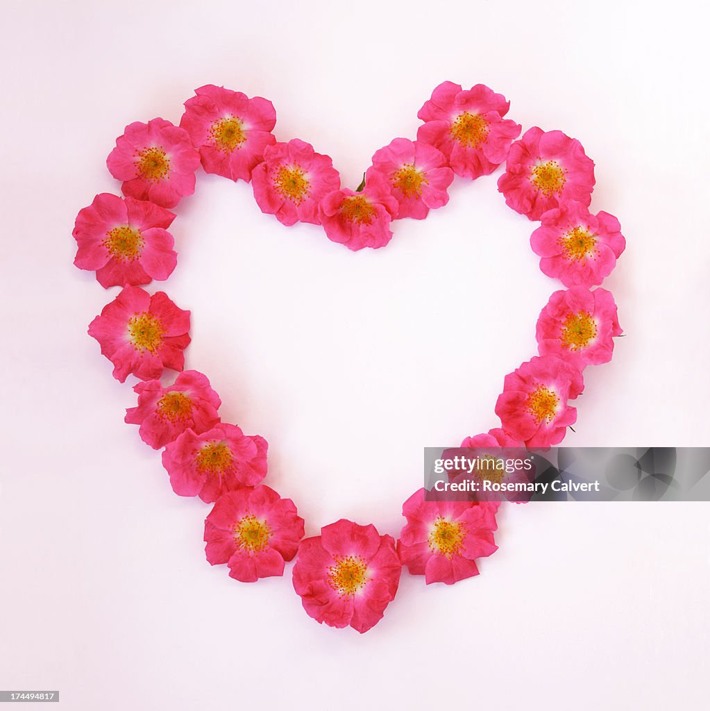 Dainty pink roses arranged in heart shape