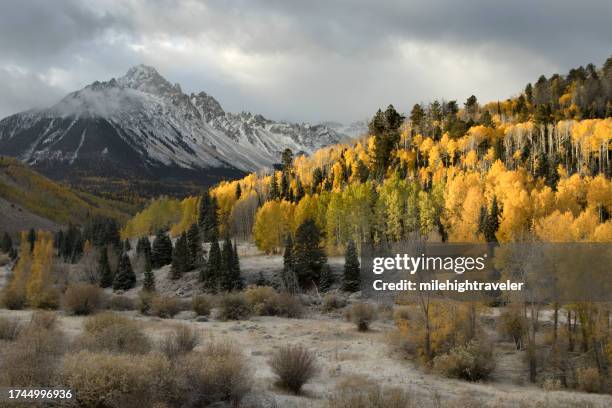 autumn colors mount sneffels ridgeway colorado - ouray colorado bildbanksfoton och bilder