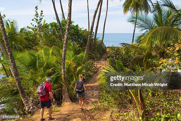 a hike through a beachside forest - mexico v costa rica stockfoto's en -beelden