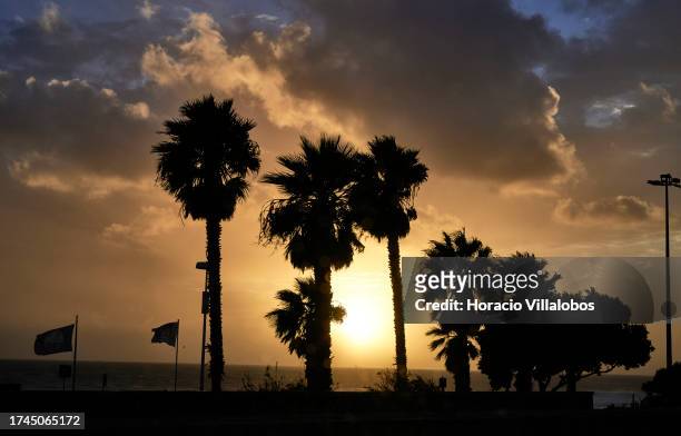 Palm trees are seen silhouetted at sunset in Carcavelos Beach after the passage of depression Aline on October 19 in Cascais, Portugal. Portugal has...