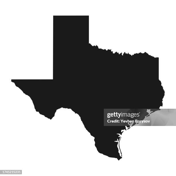 texas state map with detailed borders - texas bildbanksfoton och bilder