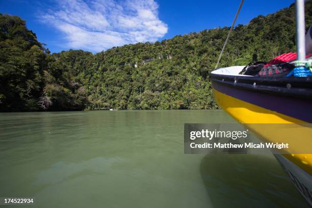 a boat trip up the rio dulce to livingston - livingston guatemala stock pictures, royalty-free photos & images