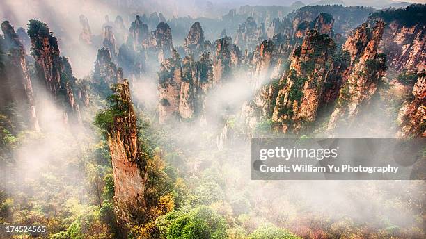 tianzishan in the morning fog - zhangjiajie national forest park stock pictures, royalty-free photos & images