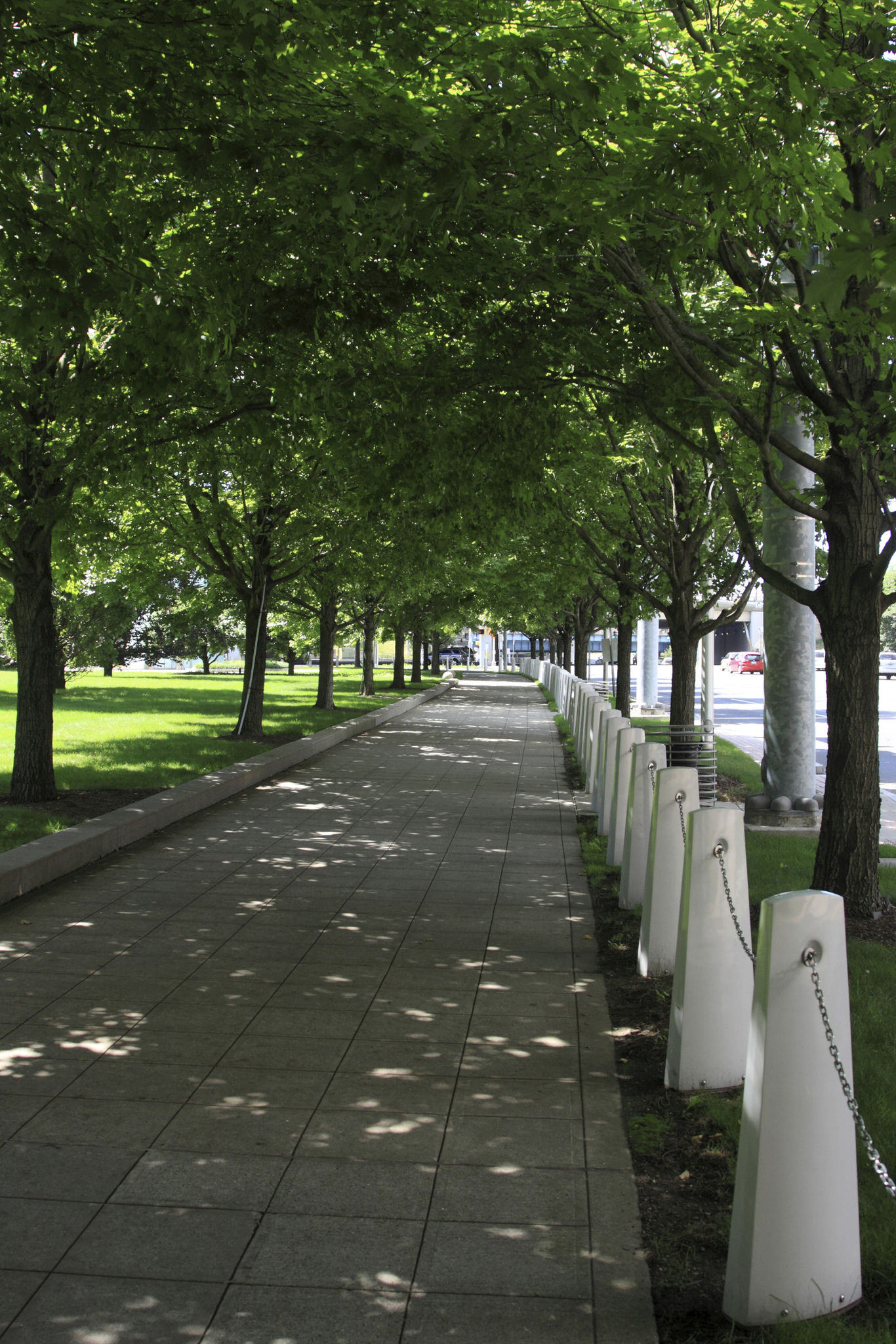 Fernwood street