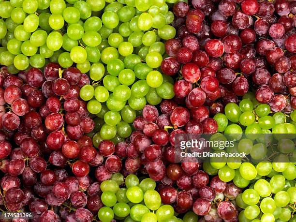 trauben, - red grapes stock-fotos und bilder