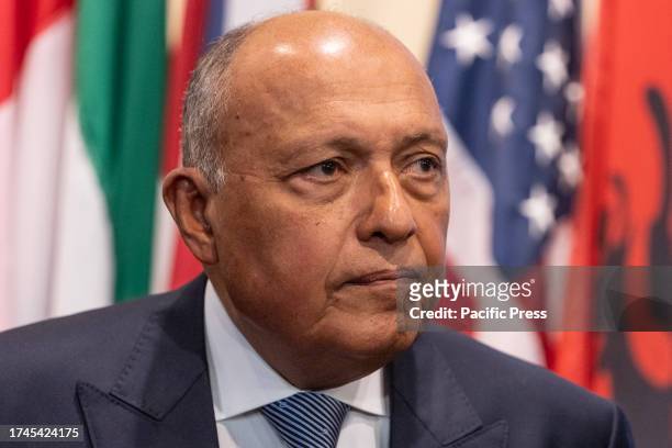 Sameh Shoukry, Minister for Foreign Affairs of Egypt attends Security Council stakeout with Arab Countries leaders at UN Headquarters.