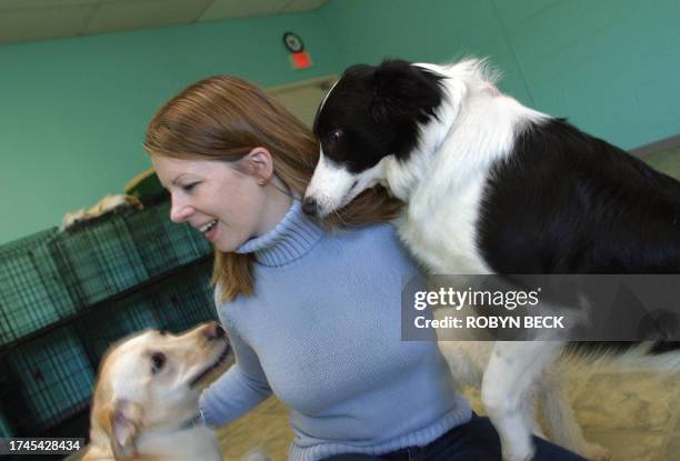 Happy Tails Dog Spa owner Amy Nichols greets clients Jake , a border collie, and Splash , a labrador retriever, in a playroom at the spa in Tysons...