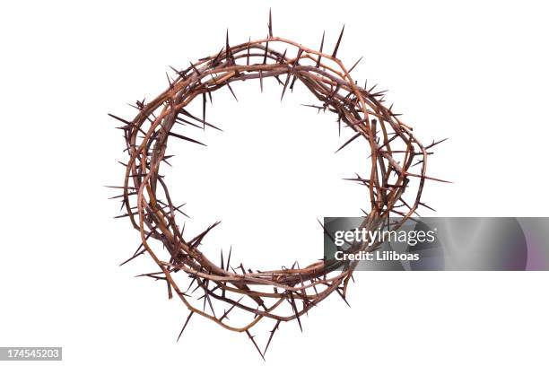 coroa de thorns - coroa de espinhos imagens e fotografias de stock