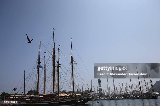 Kent De Mond of US competes during a High Diving training session on day eight of the 15th FINA World Championships at Port Vell on July 27, 2013 in...