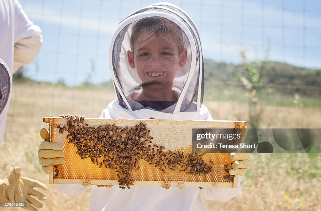Boy Holding Beehive Frame with Bees and Honey