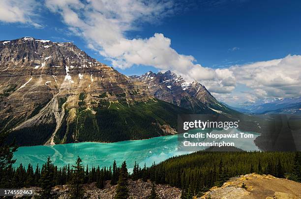 peyto lake - peytomeer stockfoto's en -beelden