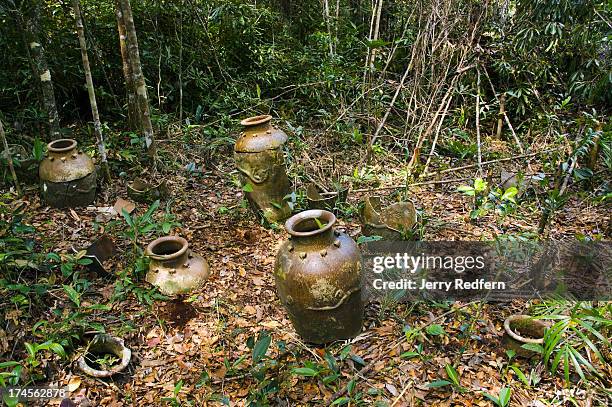 View of ancient Kelabit burial jars found in a clearing in the Sarawak jungle. The jars have dragon figures and swirling clouds. Such burial jars...