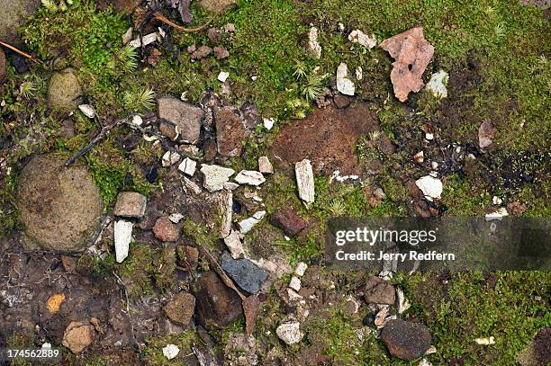 Pottery sherds and human bone fragments lie scattered about at dolmen Batu Ritong, on the edge of Pa Lungan village. The stone structure is a burial...