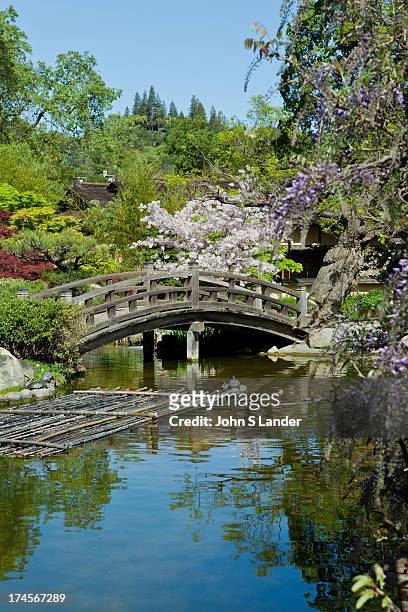 Hakone Garden is the oldest Japanese gardens in the Western Hemisphere. The garden is set in eghteen acres of in the hills of Saratoga overlooking...