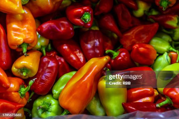 budapest market - paprika stock pictures, royalty-free photos & images