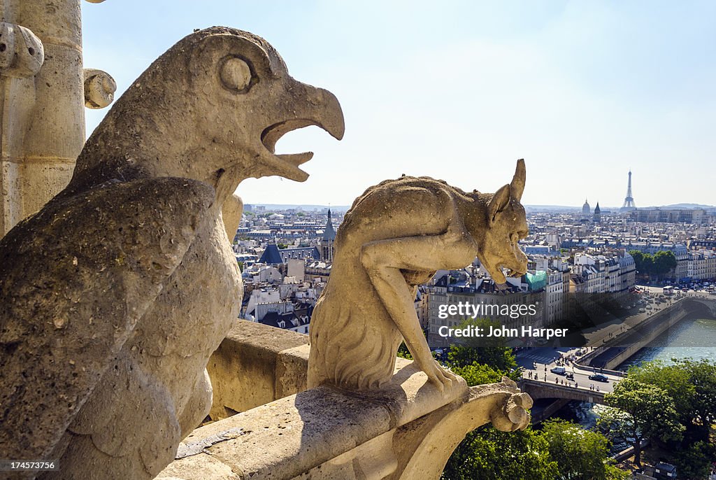 Gargoyles on roof of Notre Dame, Paris, France