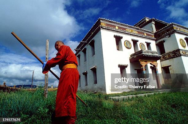 Monk working on the grass in front of his monastery. Since the "soft revolution" was launched in 1990, Mongolia is experiencing a new interest in...