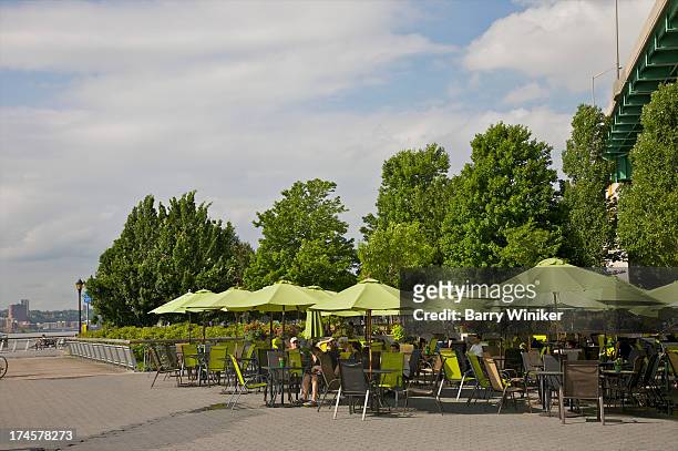 green umbrellas and trees over people - riverside park manhattan stock pictures, royalty-free photos & images