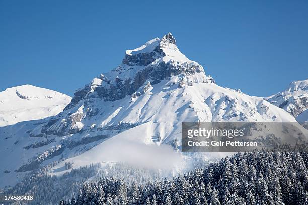 mountain landscape in winter - vetta foto e immagini stock