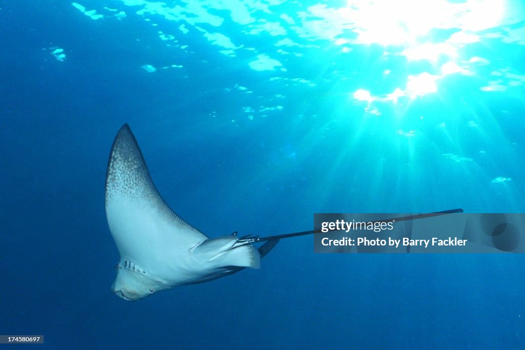 Go Sunray Sun Ray High-Res Stock Photo - Getty Images