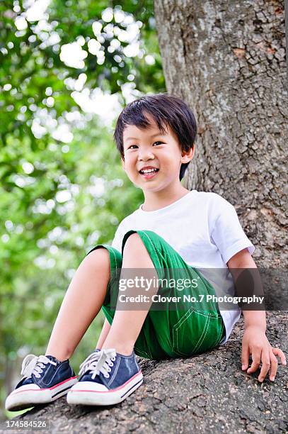 little boy sitting in a tree. - boyshorts fotografías e imágenes de stock