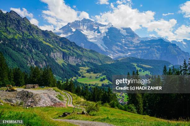 a summer view of eiger mountain and the landscape in the swiss alps - monch stock pictures, royalty-free photos & images