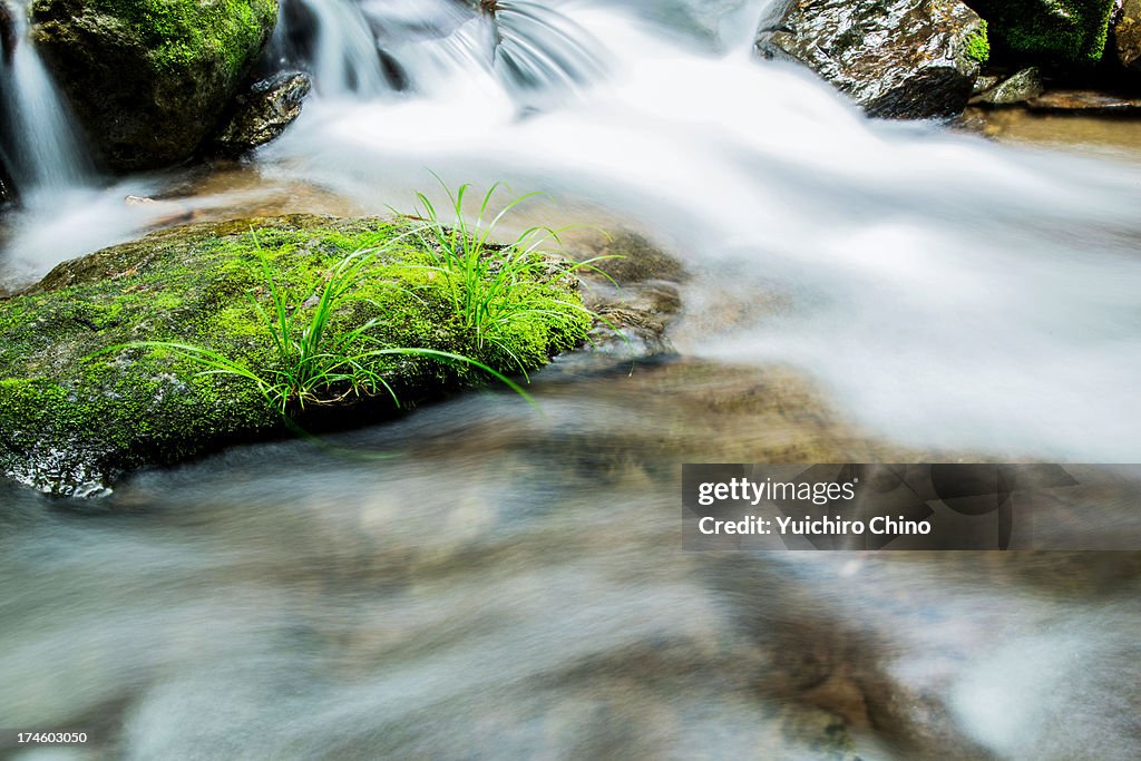 Mountain Stream