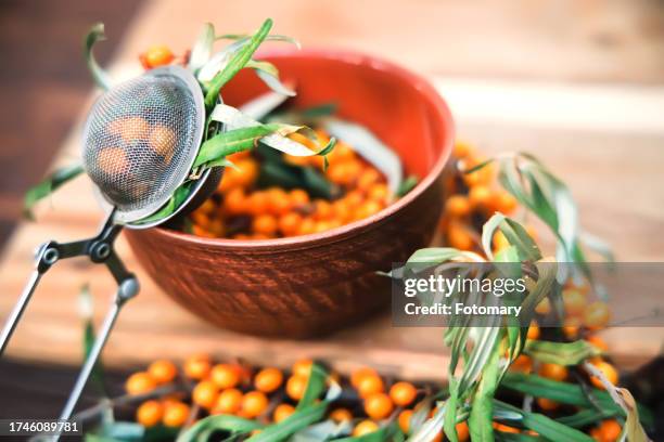 earthenware bowl filled with ripe sea buckthorn berries. ingredient for preparing a beneficial tea or drink. - buckthorn stock pictures, royalty-free photos & images