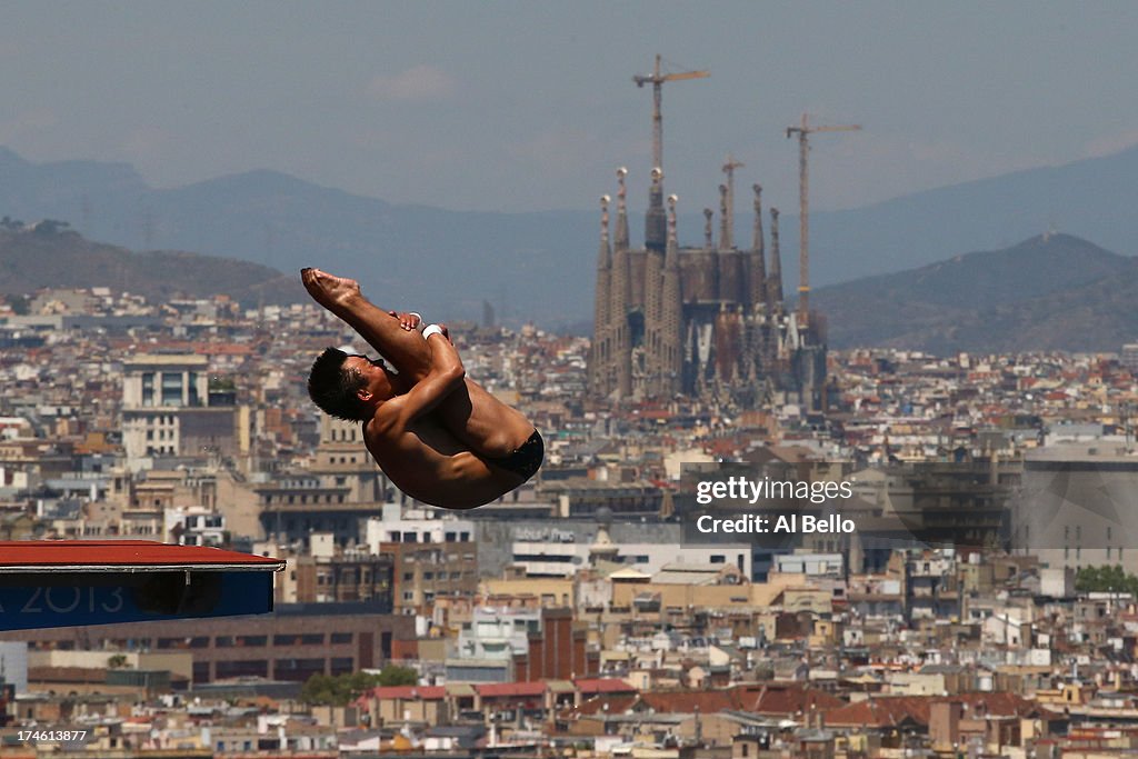 Diving - 15th FINA World Championships: Day Nine