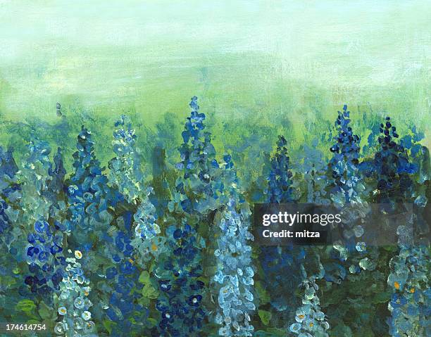 delphinium  flower bed - delphinium stock illustrations