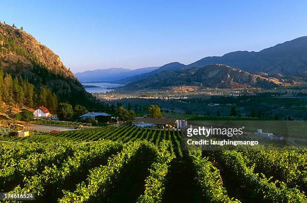 winery rural scenic lake - british columbia stock pictures, royalty-free photos & images