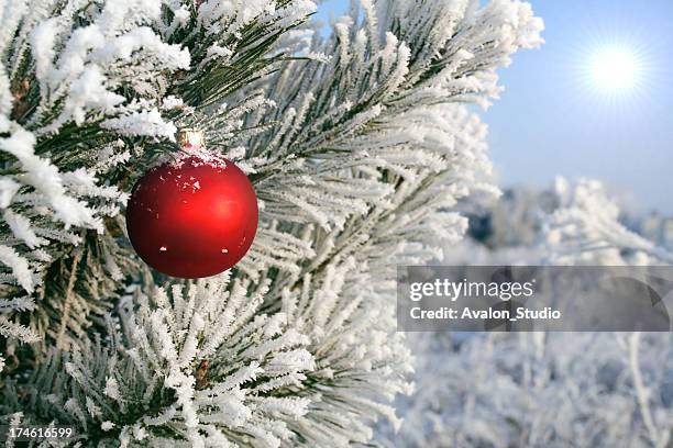 christmas weihnachtsbaum - landschaft rot stock-fotos und bilder