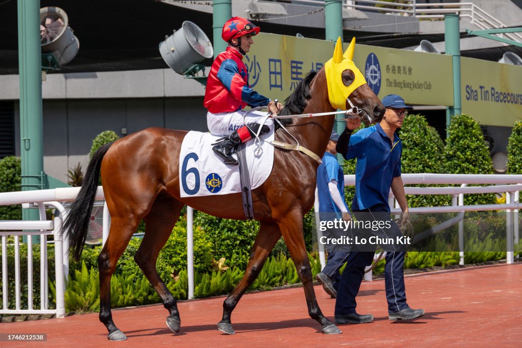 The Celebration Cup (G3 1400m)
