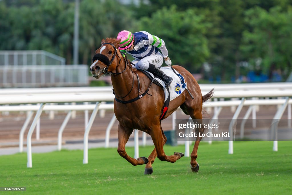 Horse Racing in Hong Kong - Sha Tin Racecourse