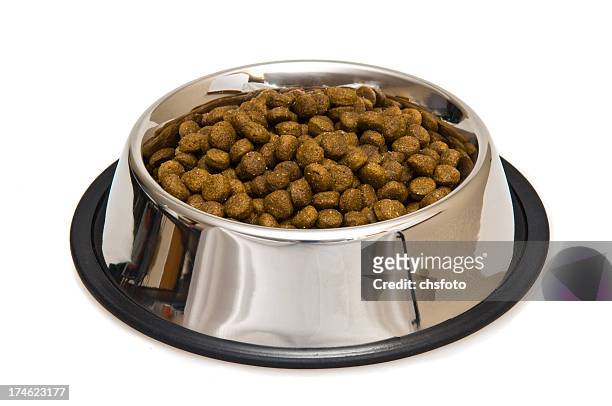 comida para perro - dog bowl fotografías e imágenes de stock