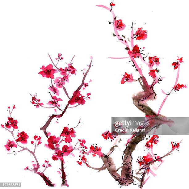 stockillustraties, clipart, cartoons en iconen met painting of bright pink plum blossoms on white - prunus mume