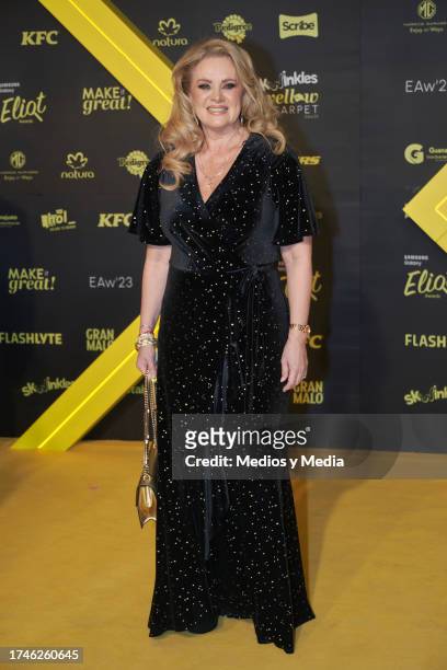 Erika Buenfil poses for a photo during the yellow carpet for the 'Eliot Awards 2023' at Expo Santa Fe MÈxico on October 19, 2023 in Mexico City,...