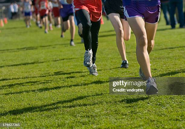 cross país funcionamiento - cross country running fotografías e imágenes de stock