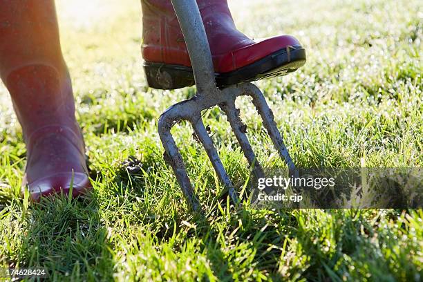 start growing your own - pitchfork agricultural equipment bildbanksfoton och bilder